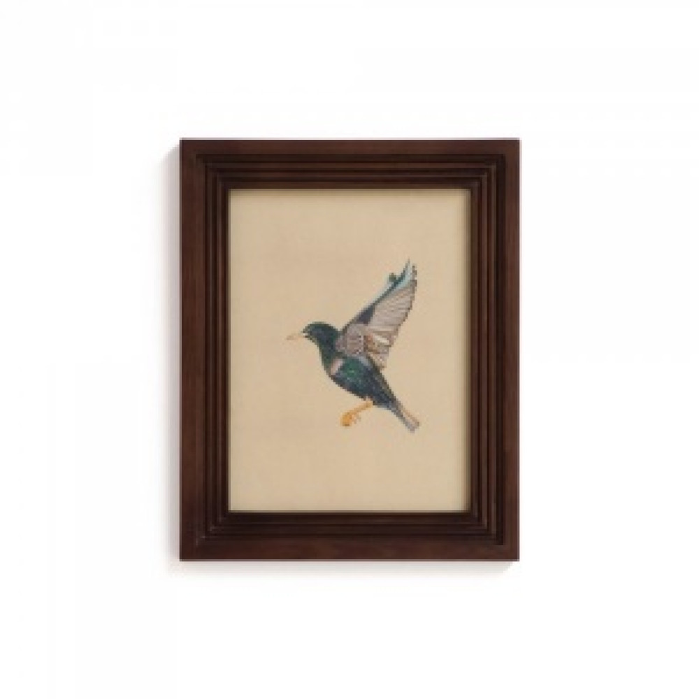 Savanna Starling in Wood Frame