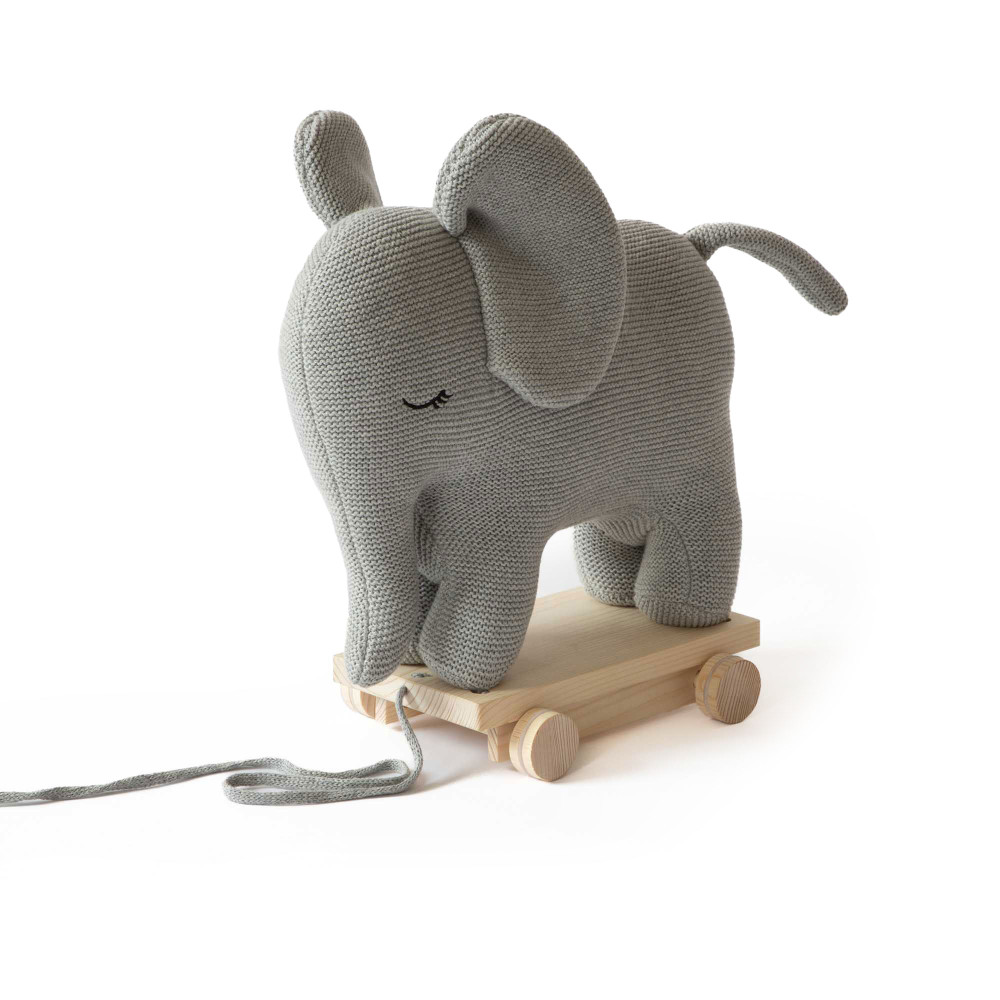 Bitsy the Elephant